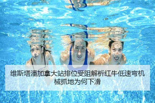 wei-si-ta-pan-jia-na-da-zhan-pai-wei-shou-zu-jie-xi-hong-niu-di-su-wan-ji-xie-zhua-di-wei-he-xia-hua-2-221.jpg